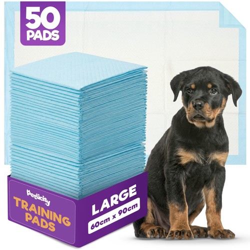 Petlicity dog puppy training - dog,