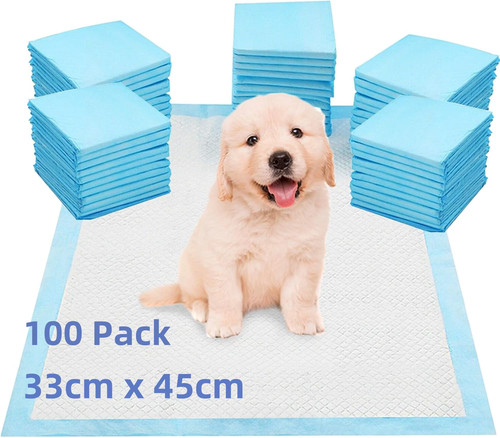 100 large puppy training - 100,