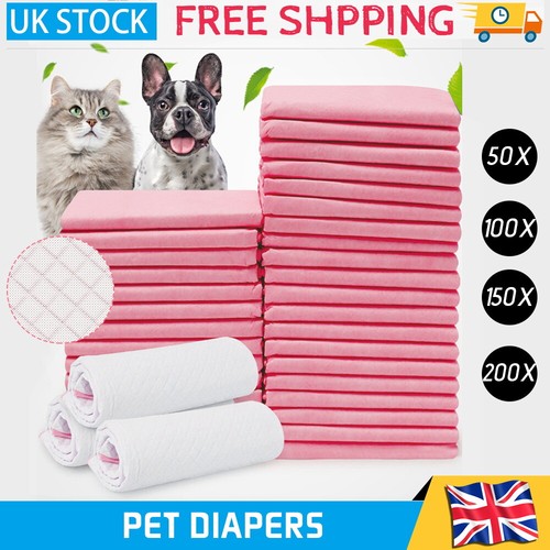 208x large puppy training - puppy,