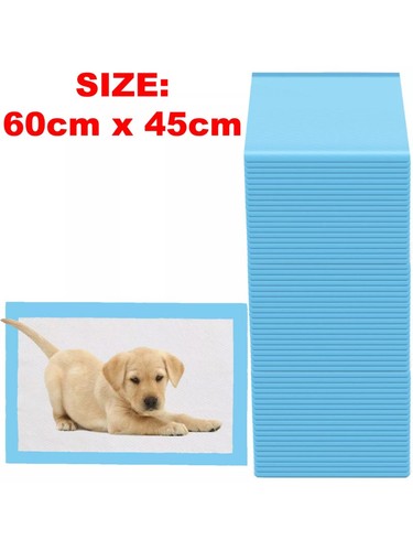 Large puppy training trainer - puppy,