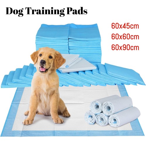 Large puppy training pads - puppy,