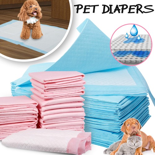 200pcs puppy training - training, pads