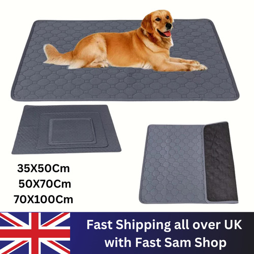 Washable large pet - washable, pads