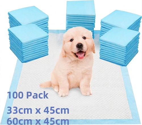 100 large puppy - puppy, training