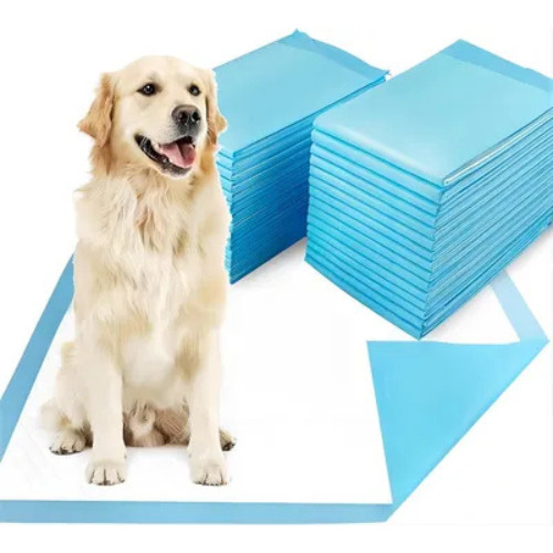 50x puppy training - ,