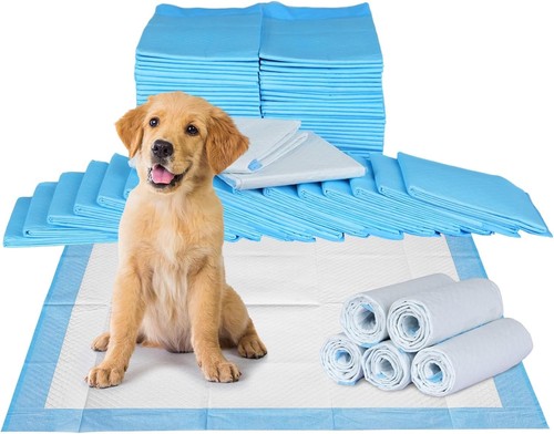 Large puppy training - training, pads