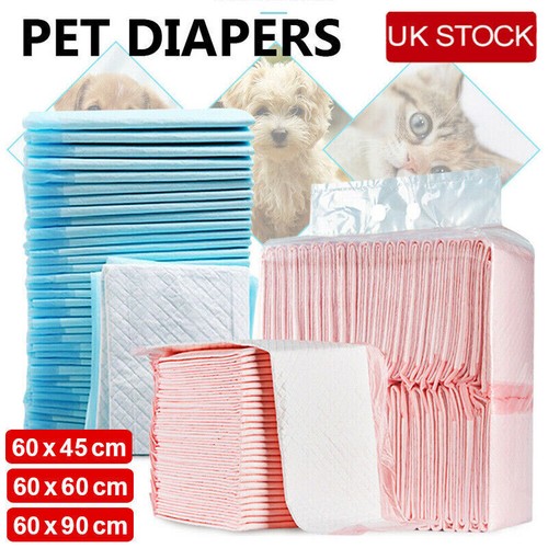 100 200x large puppy - large,