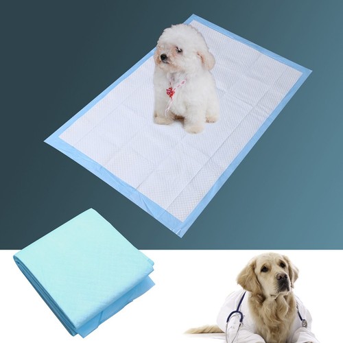 Puppy training trainer - puppy,
