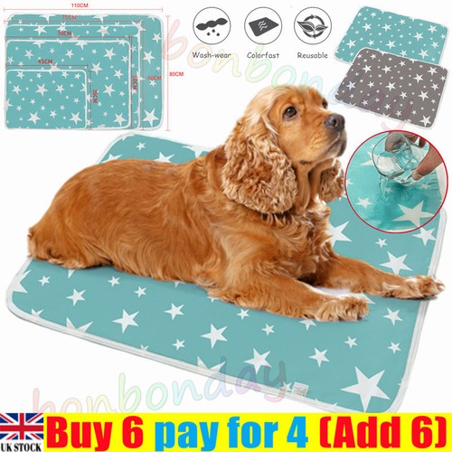 Washable large pet pee - large,