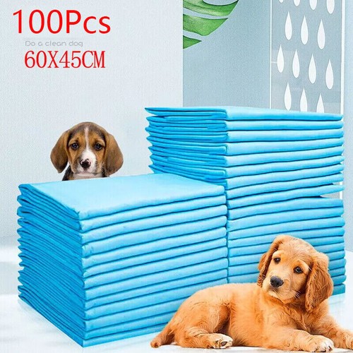 100 large puppy training - large,
