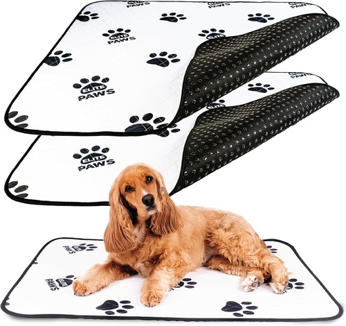 Puppy training pads pee - puppy,