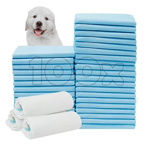 100 large puppy training - large,