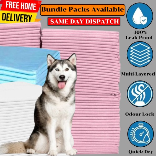 Large dog pads puppy cat - dog,