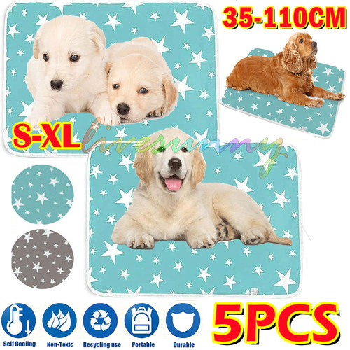 5pcs washable large pet pee - 5pcs,