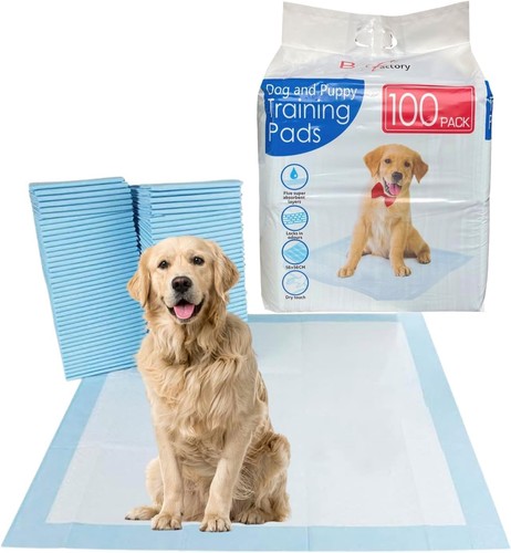 100 large puppy training - 100,