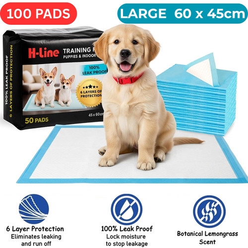 100 large puppy - 100, training