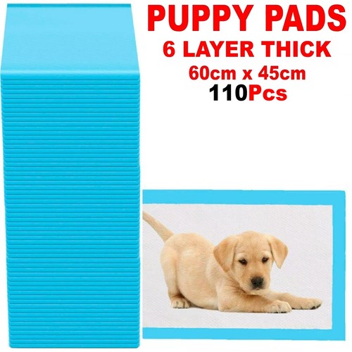 110 large puppy training - 110,
