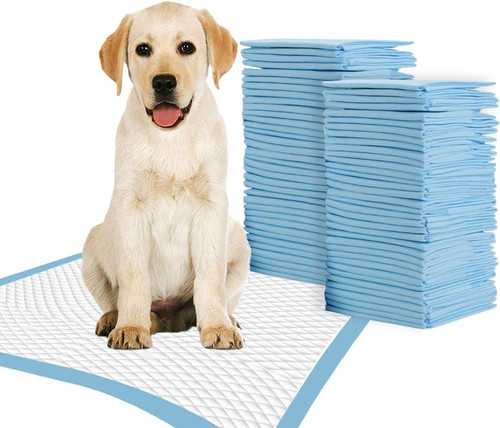 Large puppy training pads - puppy,