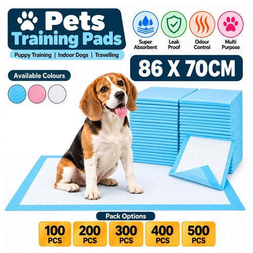Puppy training trainer - training,