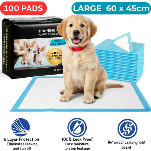 100 large puppy - 100,