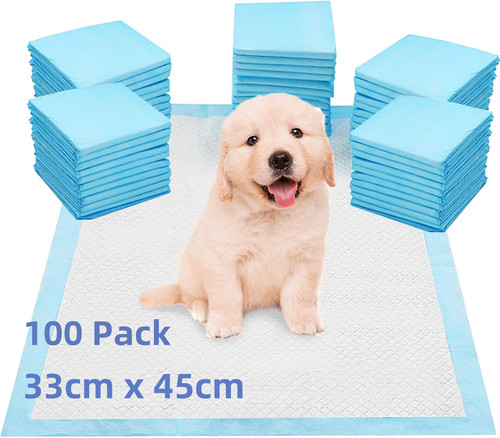 100 large puppy - 100,