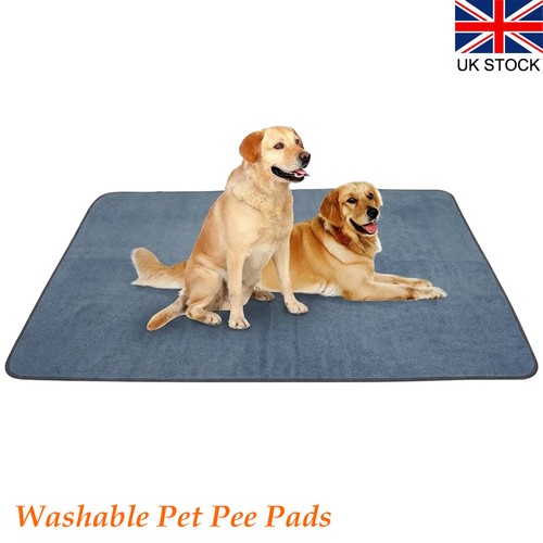 Large pet pee - pee, washable