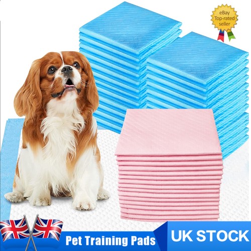 200pcs large puppy training - 50-200pcs,