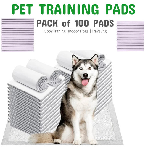 100x puppy training pads - 100x,
