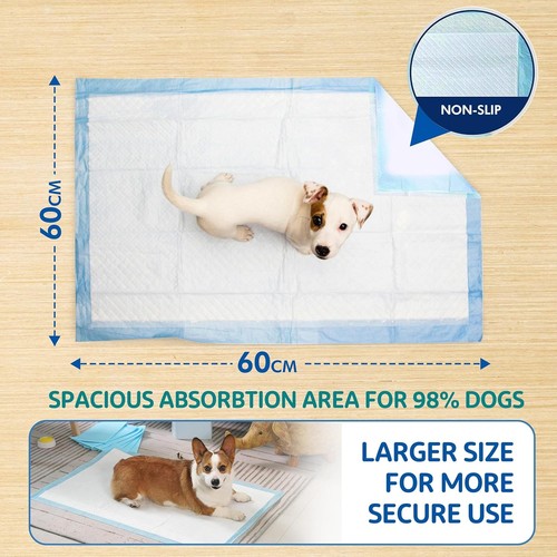 60x60cm large puppy - large,