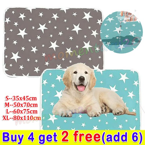 Washable large pet - large, pee