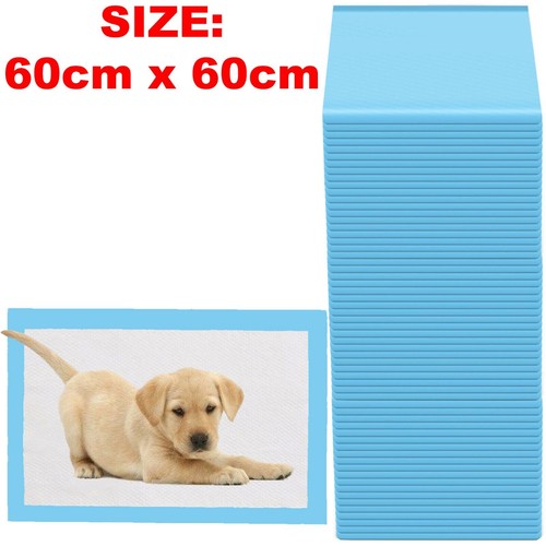 100 large puppy - 100,