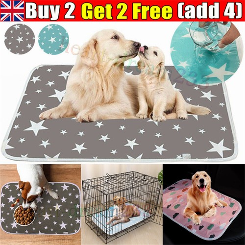 Washable large pet - washable, pads