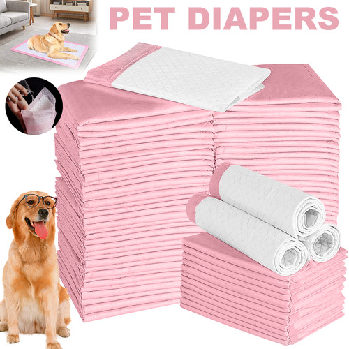 100 300x puppy training - puppy,