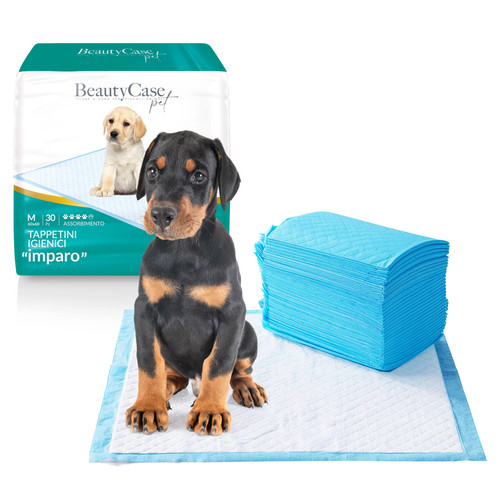 Beauty case puppy training - case,