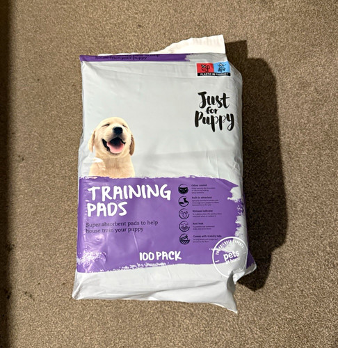 Pets home puppy - pets, training