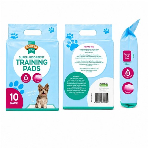 Puppy training trainer train - puppy,