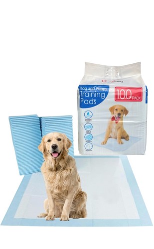 100 large puppy - 100,
