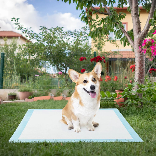 Dog and puppy pee - dog,