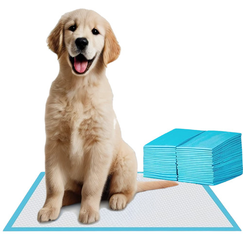 100 large puppy training - large,