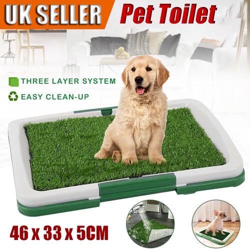Large pet dog toilet mat - toilet, puppy