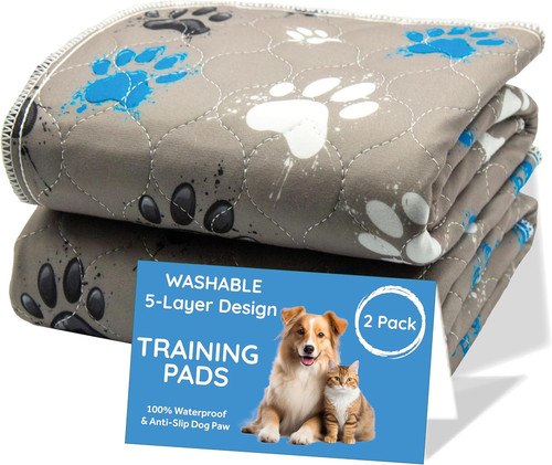 Layer washable puppy - washable,