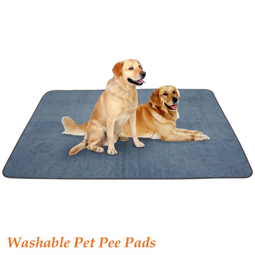 Large pet pee - large,
