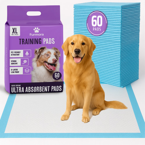 Large puppy training - puppy, pads