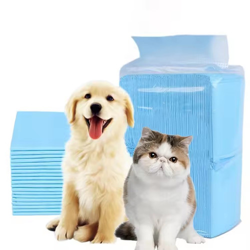 100 large puppy - training, pads