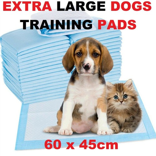300pcs large puppy training - 50-300pcs,