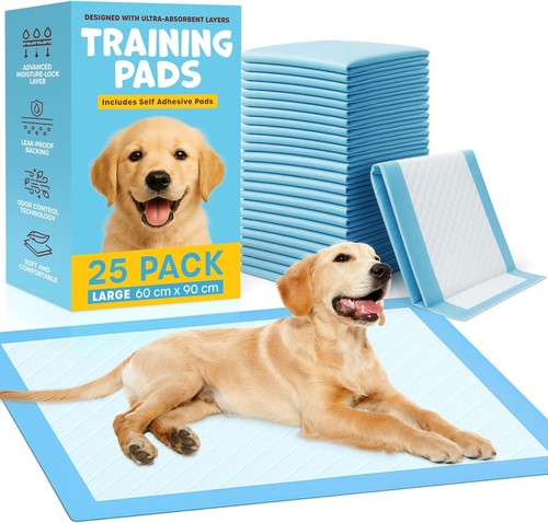 Puppy training pads - training,