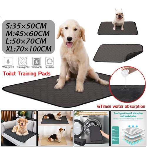 Large washable pet - large, pads