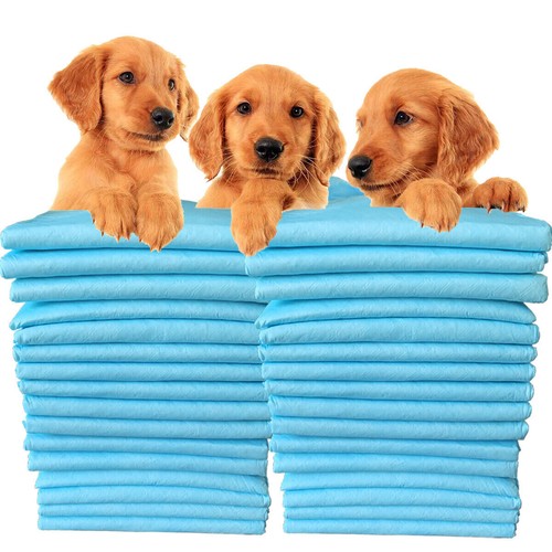 Large puppy pads - pads, training