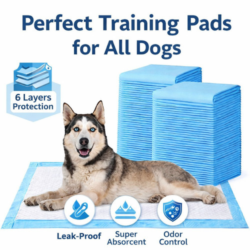 600 large puppy potty - 60-600,