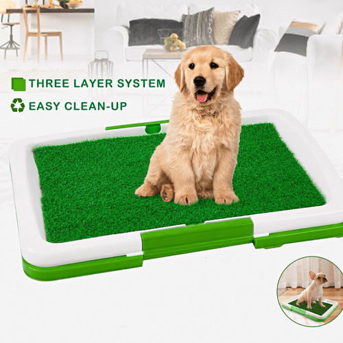 Dog toilet training tray - training, with